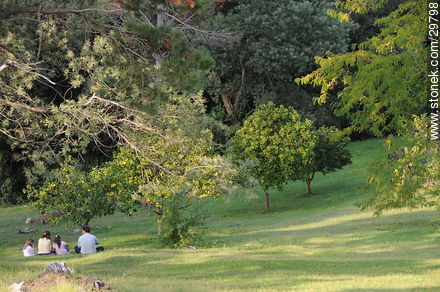 Family near the citrus trees - Lavalleja - URUGUAY. Photo #29798