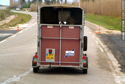 Transporte de equinos - Región Provenza-Alpes-Costa Azul - FRANCIA. Foto No. 30063