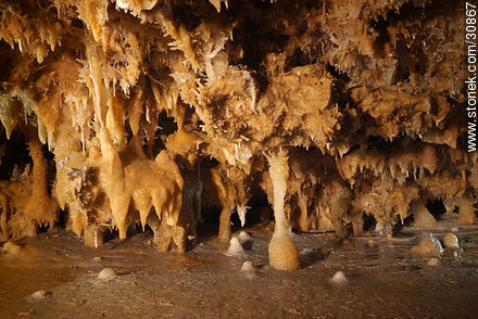 Stalagtites and stalagmites in the grout of the Grand Roc. Eyzies-de-Tayac-Sireuil. - Region of Aquitaine - FRANCE. Photo #30867