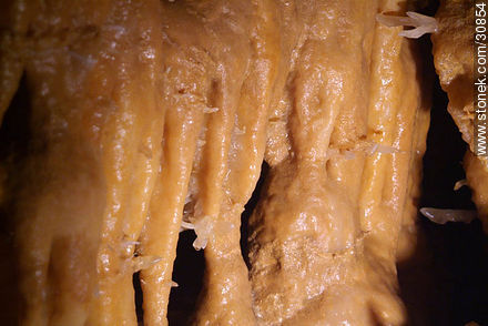 Formaciones calcáreas en la gruta de la Gran Roca. Eyzies-de-Tayac-Sireuil - Aquitania - FRANCIA. Foto No. 30854