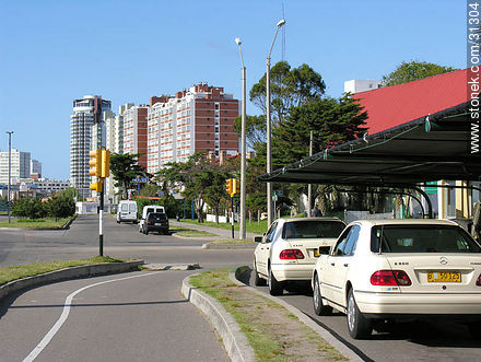 Taxis de Punta del Este en la Av. Artigas - Punta del Este y balnearios cercanos - URUGUAY. Foto No. 31304