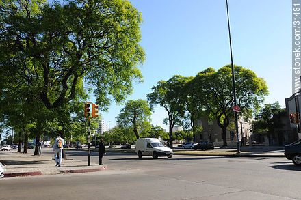 Bulevar Artigas y Goes  - Departamento de Montevideo - URUGUAY. Foto No. 31481