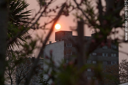 Sunrise in spring - Department of Montevideo - URUGUAY. Photo #31675