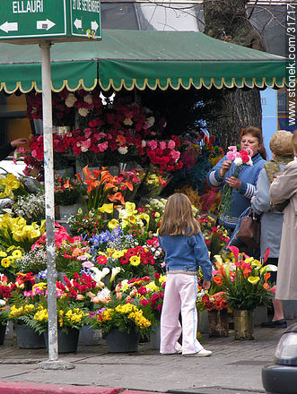 Florista vendiendo claveles - Departamento de Montevideo - URUGUAY. Foto No. 31717