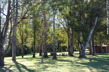 Parque Lecocq. - Departamento de Montevideo - URUGUAY. Foto No. 32386