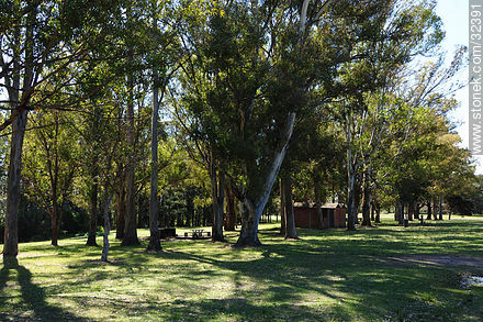Parque Lecocq. - Departamento de Montevideo - URUGUAY. Foto No. 32391