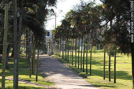 Facultad de Agronomía. - Departamento de Montevideo - URUGUAY. Foto No. 32688