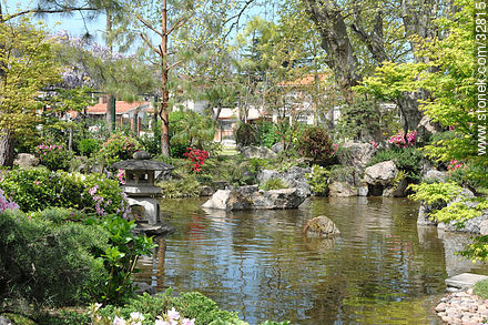 Jardín Japonés en primavera - Departamento de Montevideo - URUGUAY. Foto No. 32815