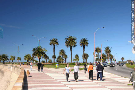 Pocitos boardwalk. - Department of Montevideo - URUGUAY. Photo #33009