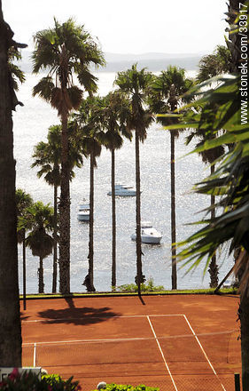Palm trees and tennis field. - Punta del Este and its near resorts - URUGUAY. Photo #33917
