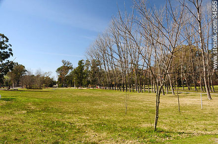 Parque Rodó - San José - URUGUAY. Photo #34565