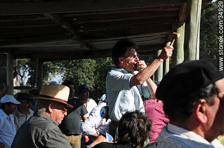 Ranching auction. - Department of Colonia - URUGUAY. Photo #34929