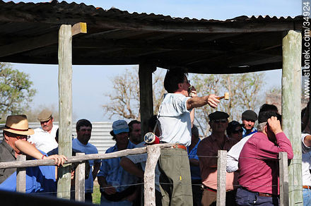 Ranching auctioneer - Department of Colonia - URUGUAY. Photo #34924