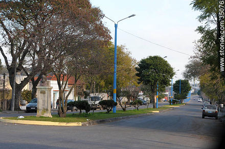 Avenida Dr.  Zemiramides Zeballos - Departamento de Río Negro - URUGUAY. Foto No. 35076