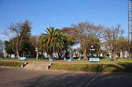 Plaza Independencia - Departamento de Río Negro - URUGUAY. Foto No. 35067