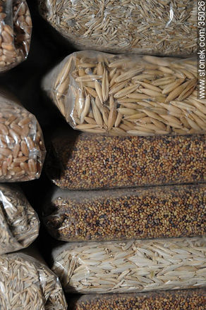 Variety of grains - Rio Negro - URUGUAY. Photo #35026