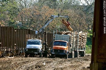 Moving trunks from freight wagon to trucks for the cellulose plant - Rio Negro - URUGUAY. Photo #35354
