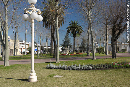 Plaza Constitución de Fray Bentos - Departamento de Río Negro - URUGUAY. Foto No. 35429