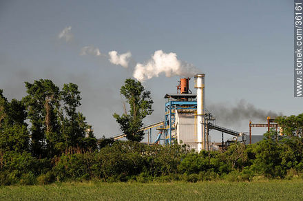 Planta industrial de ALUR - Departamento de Artigas - URUGUAY. Foto No. 36161