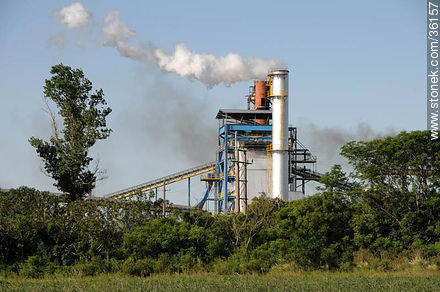 Planta industrial de ALUR - Departamento de Artigas - URUGUAY. Foto No. 36157