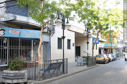 Uruguay Ave. - Department of Salto - URUGUAY. Photo #36501