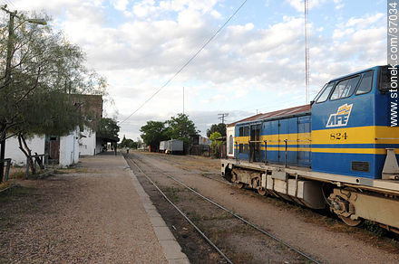 Estación de ferrocarril de Paysandú. Locomotora diesel. - Departamento de Paysandú - URUGUAY. Foto No. 37034