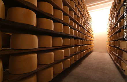 Estantes de maduración del queso - Departamento de Colonia - URUGUAY. Foto No. 37613