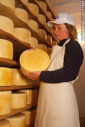 Estantes de maduración del queso - Departamento de Colonia - URUGUAY. Foto No. 37608