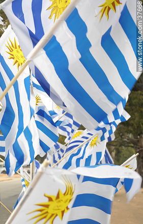Uruguayan flags. -  - URUGUAY. Photo #37668