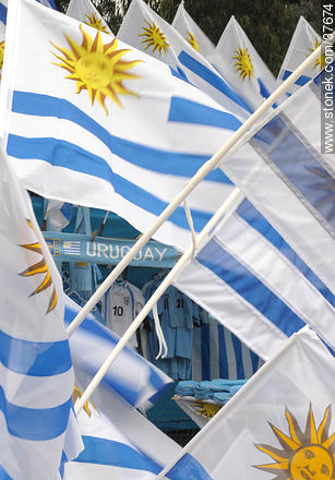 Uruguayan flags. -  - URUGUAY. Photo #37674