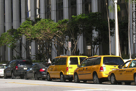 Taxis at Brickell Ave. - State of Florida - USA-CANADA. Photo #38405