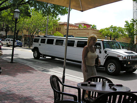 Hummer Limousine at Main Highway - State of Florida - USA-CANADA. Photo #38361