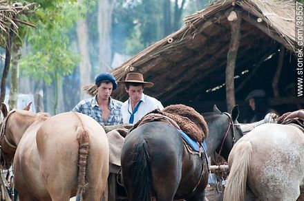Young men between horses - Tacuarembo - URUGUAY. Photo #39557