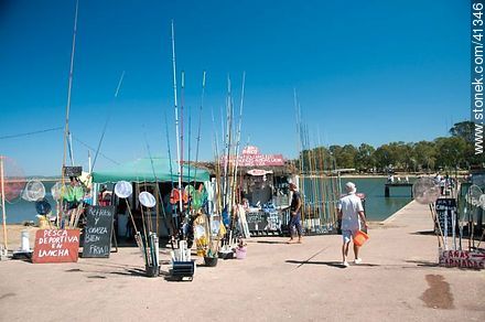 Puestos de venta y alquiler de artículos de pesca. Pescador. - Punta del Este y balnearios cercanos - URUGUAY. Foto No. 41346
