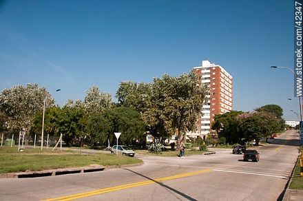 Parque lineal. Av. Estanislao López. - Departamento de Montevideo - URUGUAY. Foto No. 42347