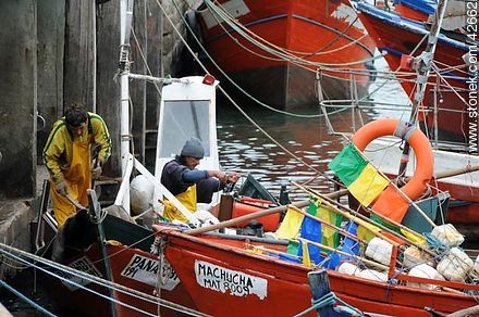 Preparing the day in a fishing boat - Department of Maldonado - URUGUAY. Photo #42662