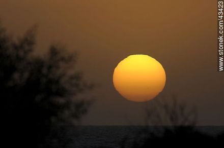 Giant sunset sun - Department of Maldonado - URUGUAY. Photo #43423