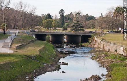 Miguelete creek - Department of Montevideo - URUGUAY. Photo #45211