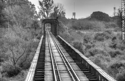 Puente ferroviario sobre el río Santa Lucía. -  - IMÁGENES VARIAS. Foto No. 45087