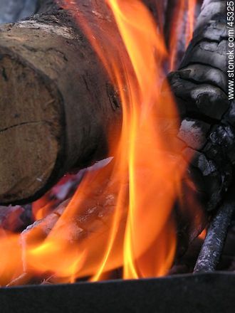 Fire wood -  - MORE IMAGES. Photo #45325