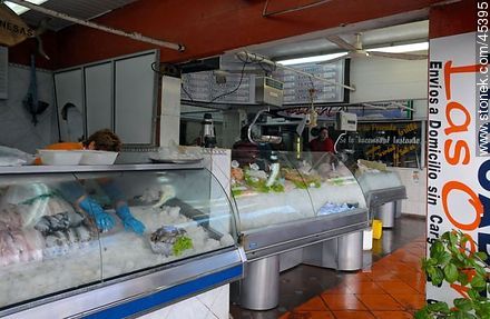 Fish market. - Department of Montevideo - URUGUAY. Photo #45395
