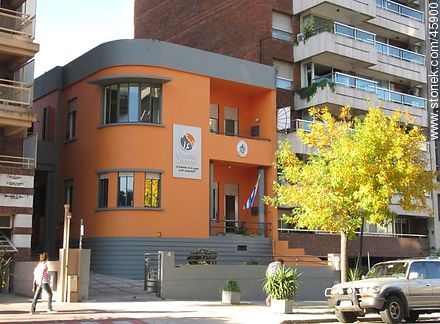 Comisión Zoonosis - Departamento de Montevideo - URUGUAY. Foto No. 45900
