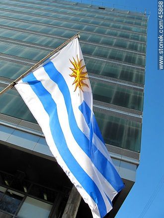 Flag of Uruguay - Department of Montevideo - URUGUAY. Photo #45868