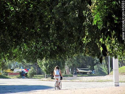 Ciclista en el Parque Batlle - Departamento de Montevideo - URUGUAY. Foto No. 46083