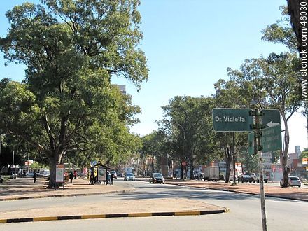 Ricaldoni and Vidiella streets - Department of Montevideo - URUGUAY. Photo #46030