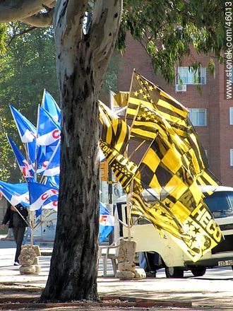 Flags of Peñarol and Nacional - Department of Montevideo - URUGUAY. Photo #46013