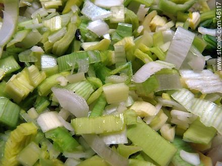Celery and onion -  - MORE IMAGES. Photo #46117