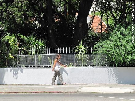 Girl walking along an avenue - Department of Montevideo - URUGUAY. Photo #46503
