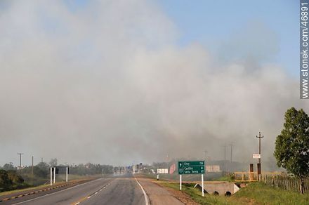 Fire on Route 9 - Department of Rocha - URUGUAY. Photo #46891