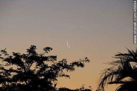 New moon -  - URUGUAY. Photo #46884